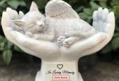 Angel Pet Care