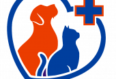 Akshaya Multi Speciality Pet Hospital – Your Pet’s Health, Our Priority