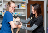 Surgical & Grooming Center for Your Beloved Pets