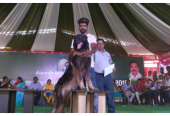Happy Paws Vellore – Pet Boarding & Dog Training Hub