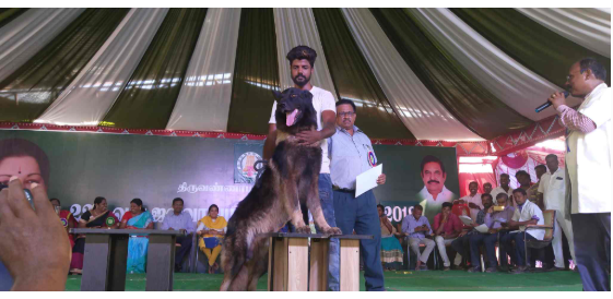 Happy Paws Vellore – Pet Boarding & Dog Training Hub