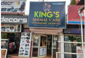 Loving Care for Pets, Peace of Mind for Owners
