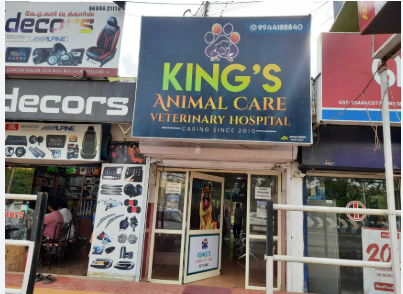 Loving Care for Pets, Peace of Mind for Owners