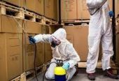 API Pest Control – Coimbatore’s Expert in Eco‑Friendly & 24×7 Pest Management