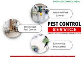 API Pest Control – Coimbatore’s Expert in Eco‑Friendly & 24×7 Pest Management