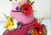 cakes and candles