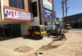 Vellore Homeo Care – Your Partner in Gentle, Natural Healing