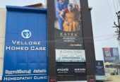 Vellore Homeo Care – Your Partner in Gentle, Natural Healing