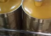 Maafresh Agro Foods Pvt Ltd Premium Natural Fruit Pulp Manufacturer & Exporter