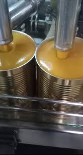 Maafresh Agro Foods Pvt Ltd Premium Natural Fruit Pulp Manufacturer & Exporter