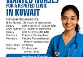 Pavintra HR & Placement Services – Expert Job Consultancy in Salem