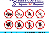 Total Pest Protection – A to Z Coverage!