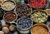 Thugir Food Company