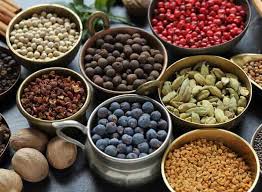 Thugir Food Company