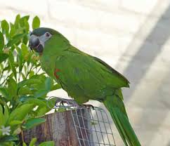 Barani Bird’s Farm