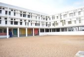 Padmashree School
