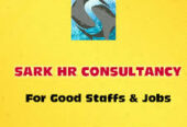 Sark HR Consultancy – Expert Recruitment & Staffing Solutions for a Smarter Workforce