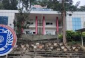Hillock International School