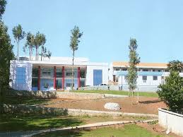 Hillock International School