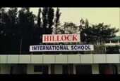 Hillock International School