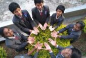 Hillock International School