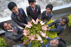 Hillock International School