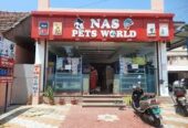 NAS Pets World – Your One‑Stop Pet Haven in Nagercoil 🐾