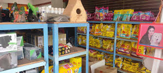 NAS Pets World – Your One‑Stop Pet Haven in Nagercoil 🐾