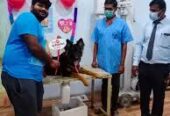 Your Pet’s Health, Our Priority – Visit Yazh Pet Clinic Today!