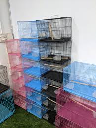 The Zoo Pets – Erode’s One-Stop Destination for Pet Supplies, Grooming & Accessories