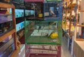 The Zoo Pets – Erode’s One-Stop Destination for Pet Supplies, Grooming & Accessories