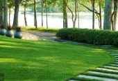 Elevate Your Outdoors with Royal Sketch Gardening in Madurai