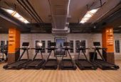 Sculptors Lifestyle & Fitness – Where Fitness Meets Lifestyle