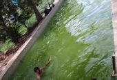 Make a Splash with Swim India Pools – Madurai’s #1 Swimming Destination