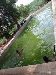 Make a Splash with Swim India Pools – Madurai’s #1 Swimming Destination
