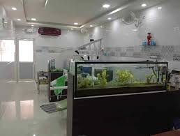Vignesh Dental Care – Expert & Affordable Dental Solutions in Salem