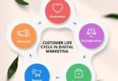 Strobilan Technologies – Innovative IT Solutions & Digital Services in Salem