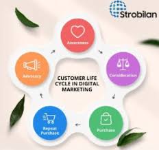 Strobilan Technologies – Innovative IT Solutions & Digital Services in Salem