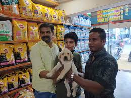 The Sai Kennel – Coimbatore’s Complete Pet Store Experience.