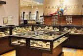 D. Bharathi Jewellers – Saibaba Colony’s Designer Gold & Silver Specialist
