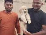 Coimbatore Golden Pets – Quality Pups & Complete Pet Care