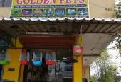 Coimbatore Golden Pets – Quality Pups & Complete Pet Care