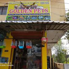 Coimbatore Golden Pets – Quality Pups & Complete Pet Care