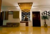 Mister Interior Decoration