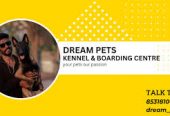 Dream Pets Kennel – Saravanampatti’s 24‑Hr Pet Care & Shop