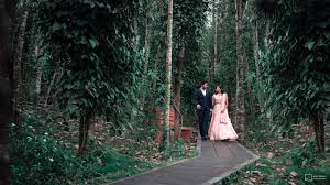 WhiteDust: Capturing Moments, Creating Memories