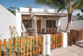 coco surf club