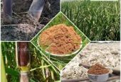 Ranjith Agro Foods