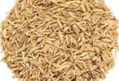 Ranjith Agro Foods