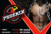 Phoenix Cross Fit: Where Strength Meets Community